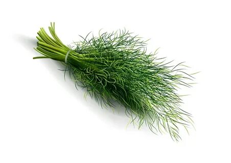 خرید شوید خشک برای چاشنی سبزیجات